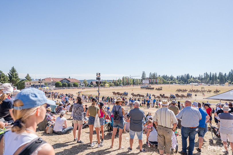 Le public et le soleil ont répondu présent cette année au Marché-Concours. (Photo : Jonathan Vallat).
