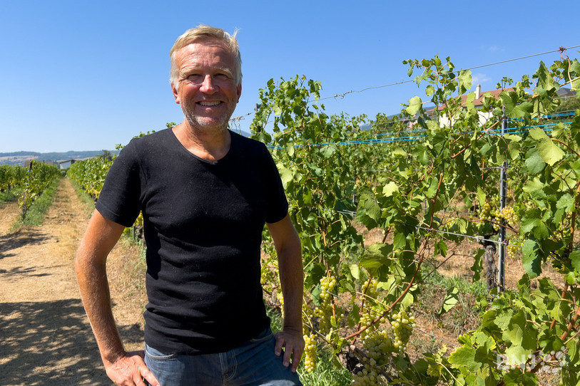 Pierre Lambert a repris le domaine des Coccinelles des mains de son père en 2006. Le viticulteur pérennise la culture biologique introduite par son père en 1992.