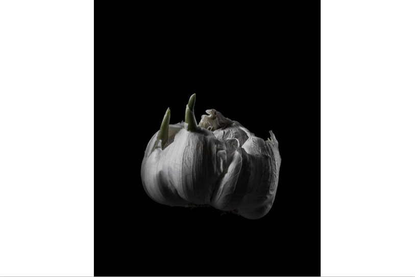 Xavier Voirol présente une série de photographies, réalisées entre 2015 et 2020, intitulée Petit théâtre des vanités. Photo: Xavier Voirol