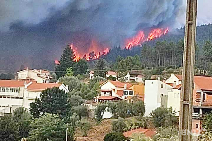 Plusieurs régions du Portugal ont été touchées par de violents incendies ces dernières semaines.