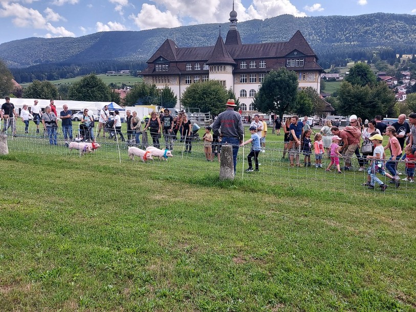 Les enfants ont pu aller caresser les petits porcs après la course, avant qu'ils ne retournent se reposer pour la manche suivante.