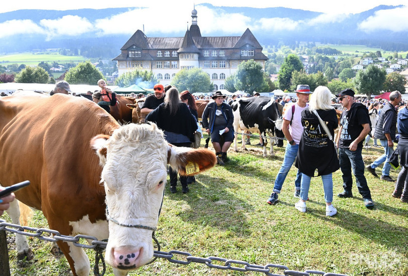 Le public était présent en nombre lundi à Reconvilier. (Photo : Georges Henz).