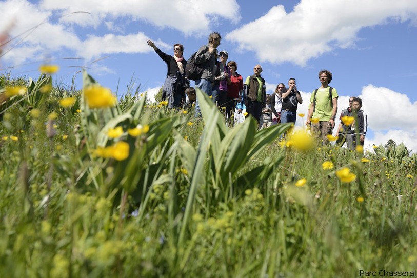 Des sorties guidées sont notamment au programme (photo: Parc Chasseral)