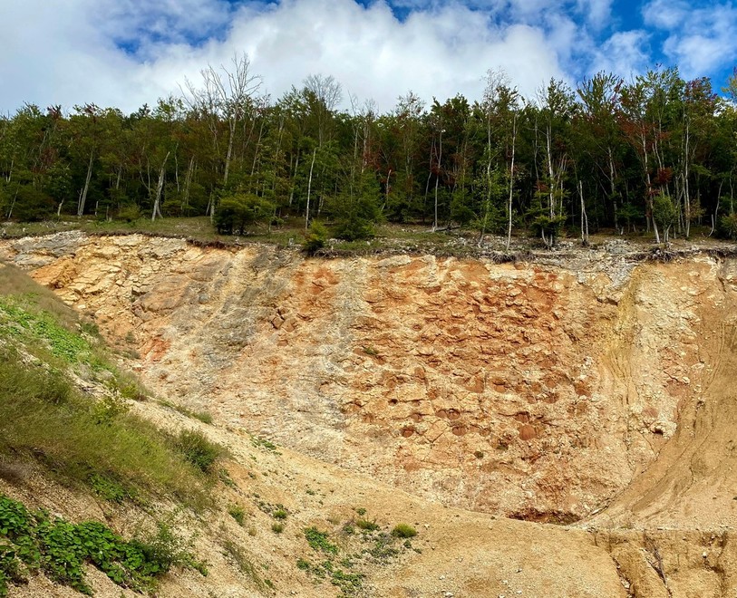 Les traces de dinosaures à la Côte Picard à Moutier.
