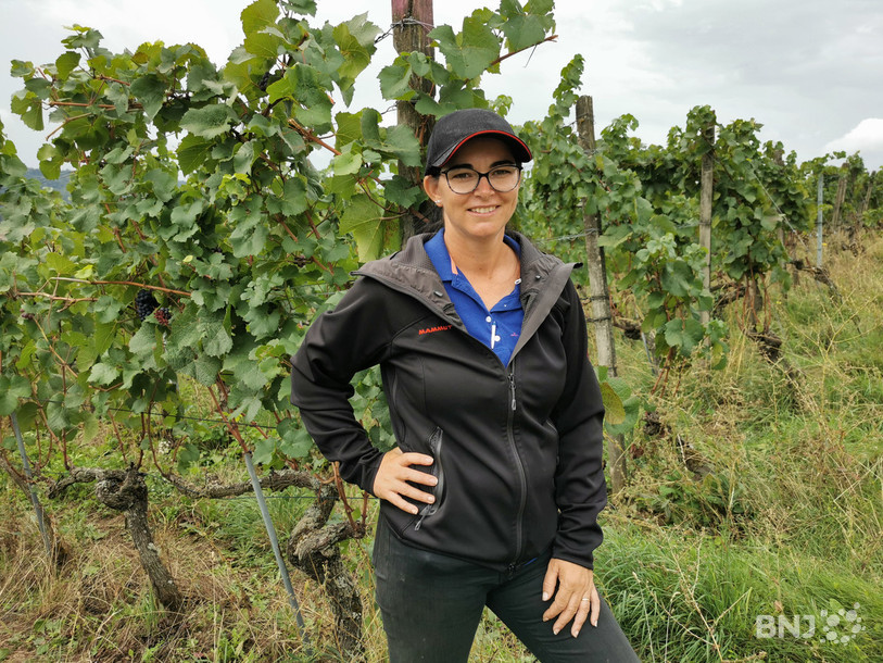 Patricia Miguel, cheffe d’équipe des vendangeurs pour le domaine Grisoni, n’a jamais vu autant de raisin lors d’une récolte.