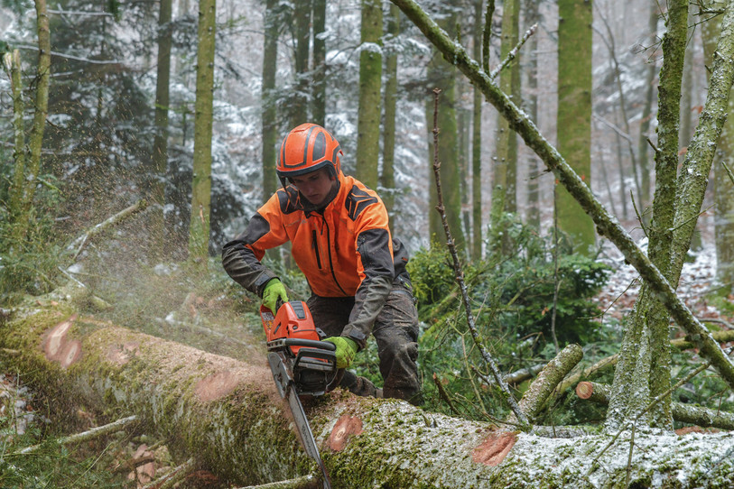 Apprenti-bûcheron au travail. Un métier de passion, selon le formateur Jean-Charles Noirjean. (Photo : ForêtSuisse).