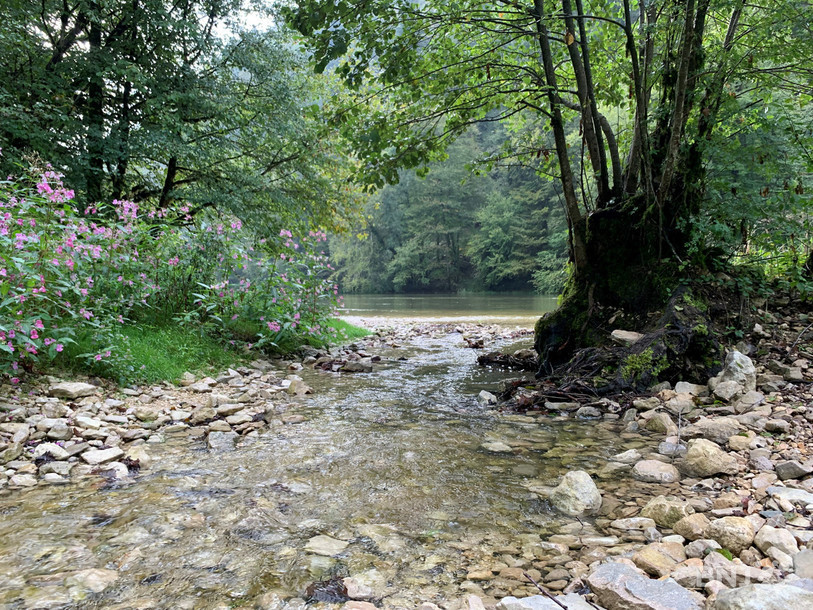 Le bief de Vautenaivre se jette dans le Doubs.