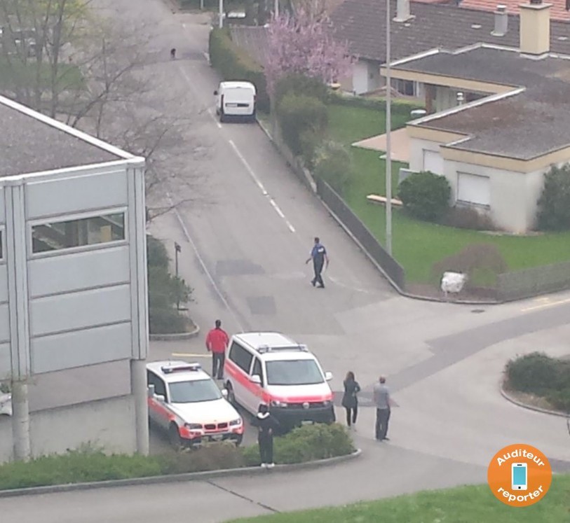 La police cantonale bernoise est intervenue à Moutier jeudi après-midi pour maitriser deux chiens (photo: Marianne Sautebin-Altermatt)