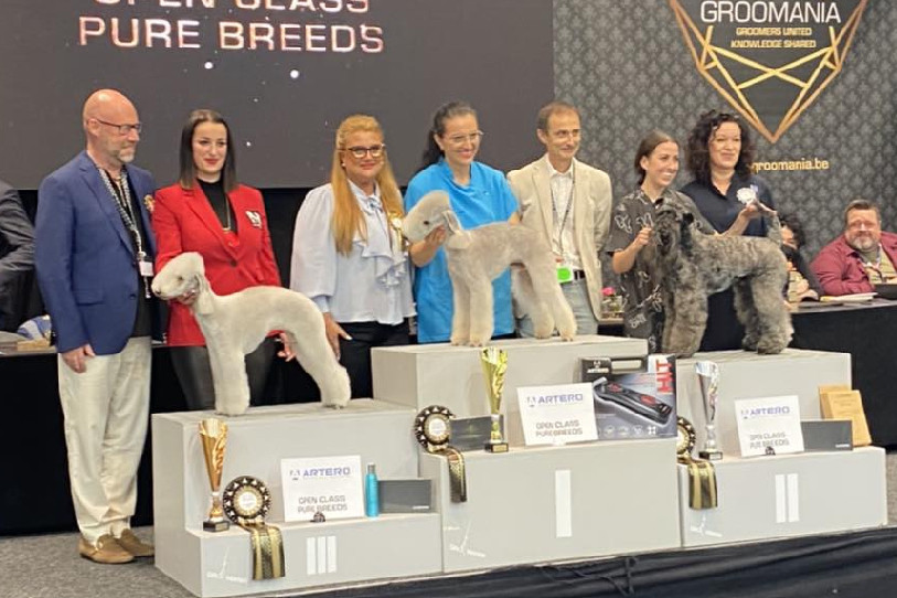 En concours individuel, Allison Cabibbo (en rouge) et Lyona ont terminé 3es. (Photo : Facebook/Heiniger Swiss grooming Team).