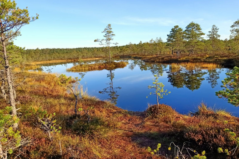Le président de la MIBA a découvert la nature finlandaise (photo : Boris Beuret)
