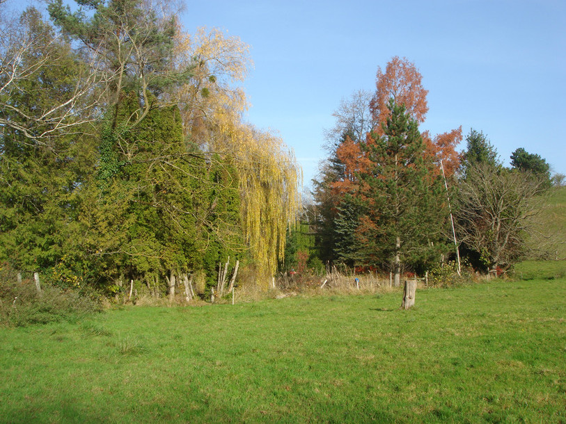 Pro Natura