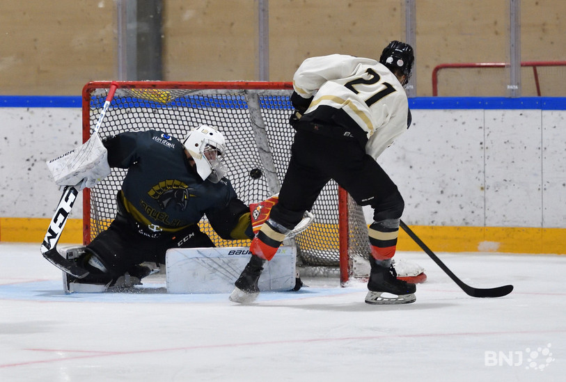 Le Erguël HC a encaissé 5 buts de la part de ses adversaires vendredi soir (photo : Georges Henz).