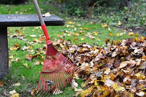 Rateau et feuilles mortes