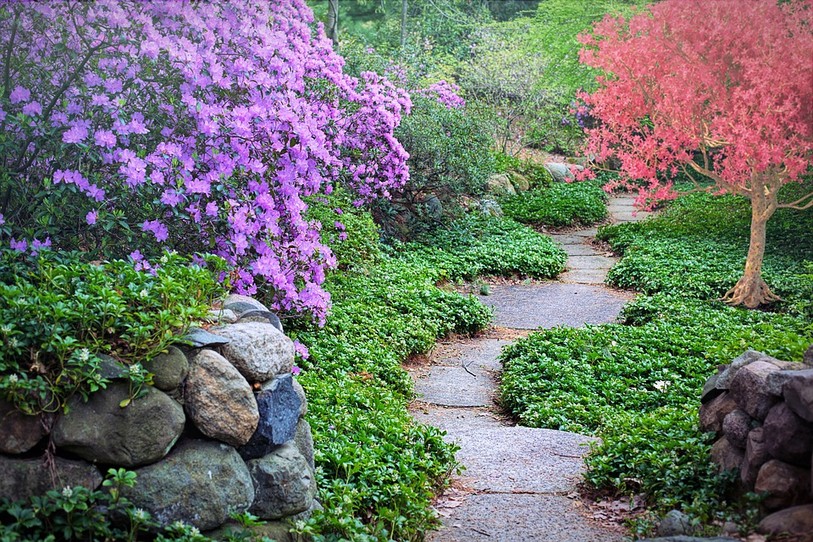 Chemin de pierre au milieu d'un jardin luxuriant
