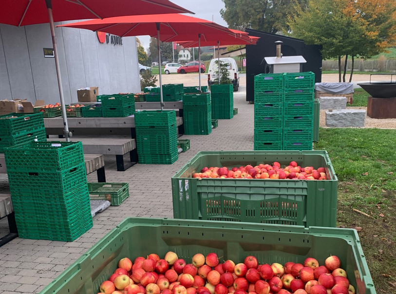 Des pommes ont notamment été empaquetées samedi matin Ô Vergers d'Ajoie. (Photo : Ian Hennin). 