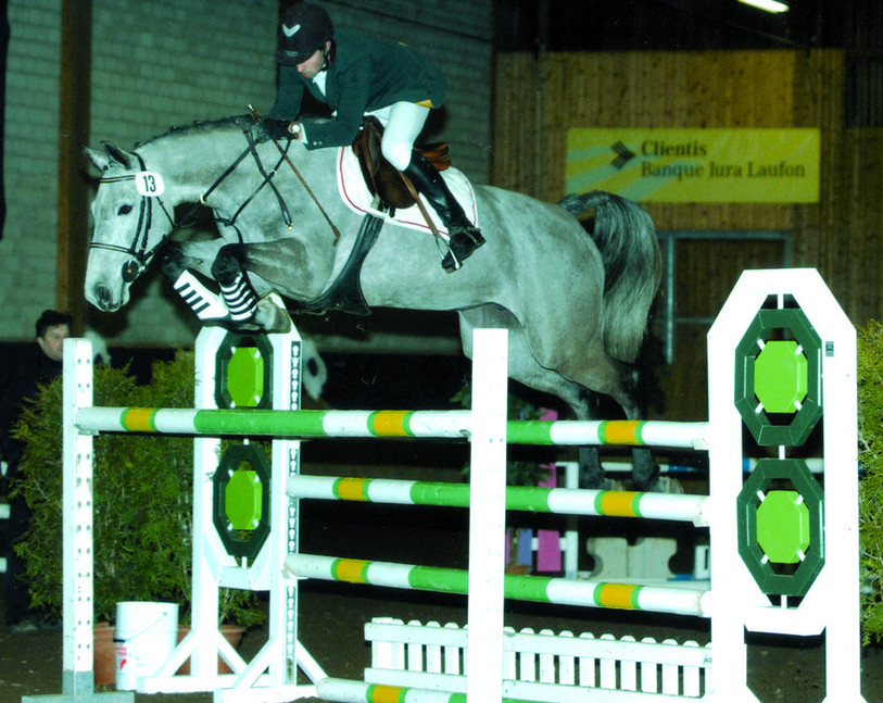 Chevaux demi-sang