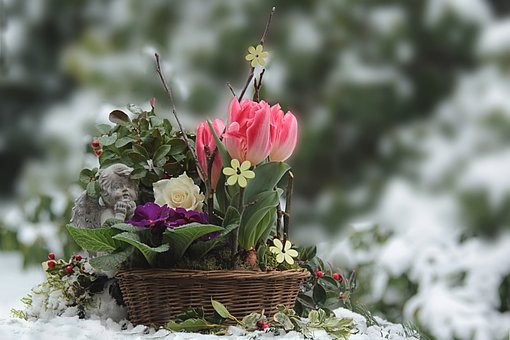 pot de fleurs sous la neige