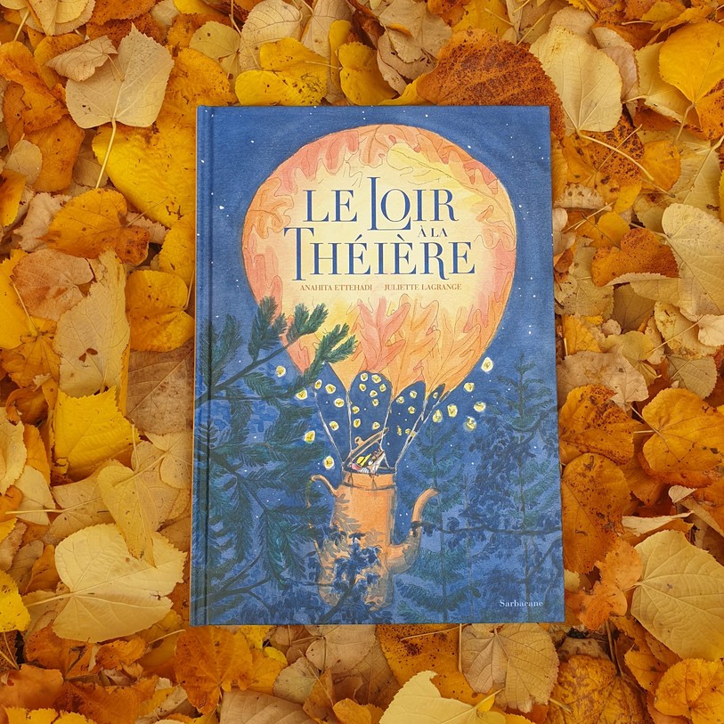 Lewis le petit loir vit heureux avec sa famille au coeur de la forêt. Sa passion ce sont les marrons : il en a toute une collection. Mais un terrible soir d'automne un incendie le sépare des siens. D'abord affolé et perdu, le petit loir reprend courage et décide de retrouver ses parents. Pour la première fois de sa courte vie, il va devoir se débrouiller seul... L'occasion de faire confiance à son ingéniosité, qu'il a grande ! ! !