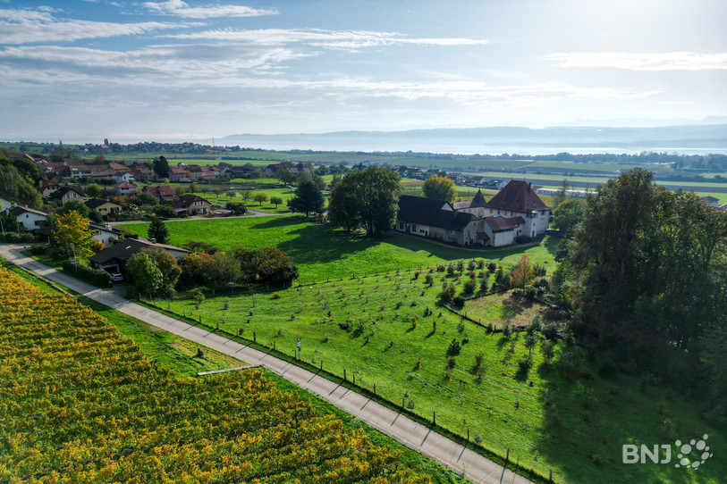 La première truffière didactique de Bonvillars a bénéficié d'une parcelle de 6'000 mètres carrés mise à disposition par la commune nord vaudoise.