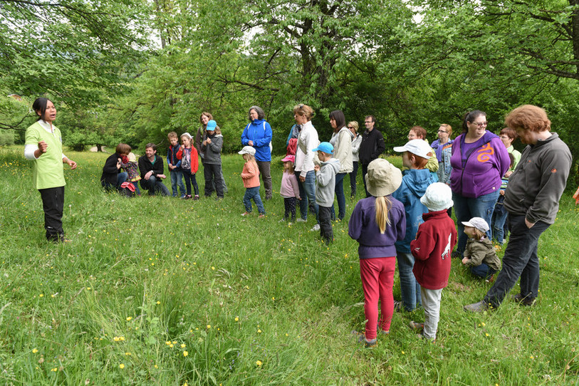Parc en fête