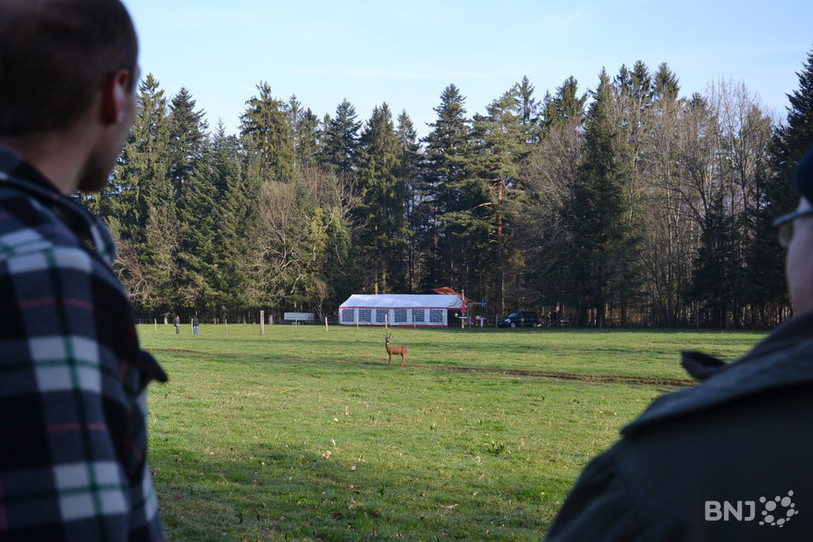 La révision de l'ordonnance fédérale sur la chasse exige des chasseurs une formation au tir