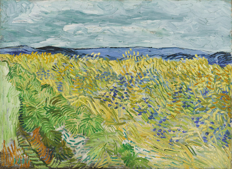Le Champ de blé aux bleuets de Vincent Van Gogh (1890) fait partie des collections de la Fondation Beyeler et est exposé jusqu'en janvier (photo: Robert Bayer, Bâle).