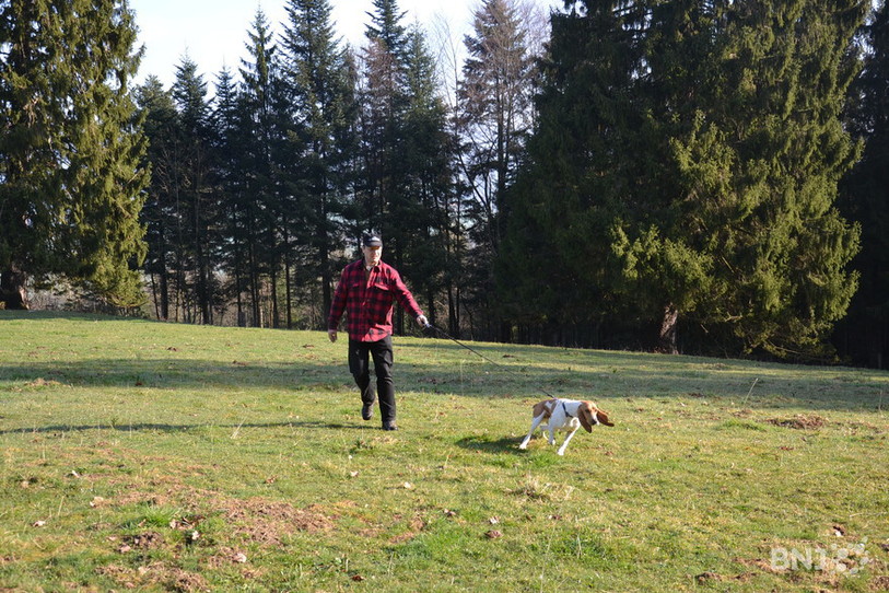chasse