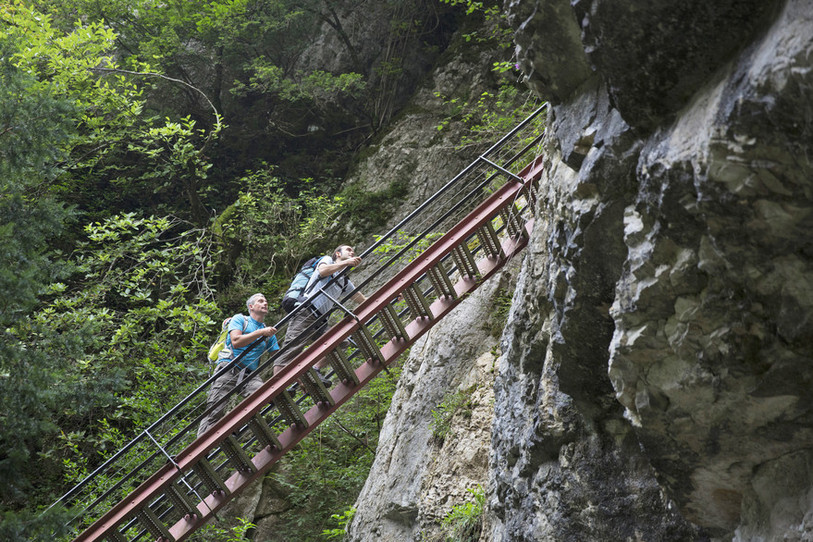 Les chemins de la contrebande