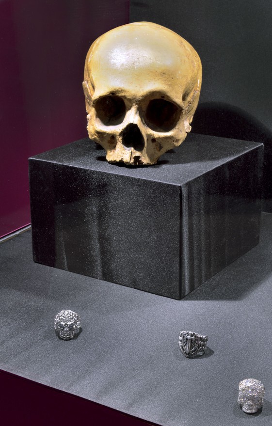 Moulage de crâne humain avec bagues Black Collar. Photo : MEN.