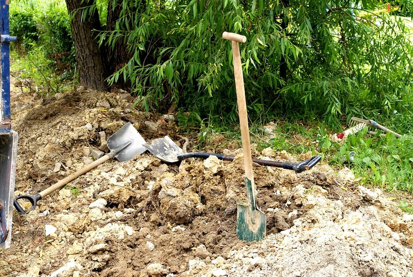 Transplantation d'arbres, arbustes et autres végétaux !
