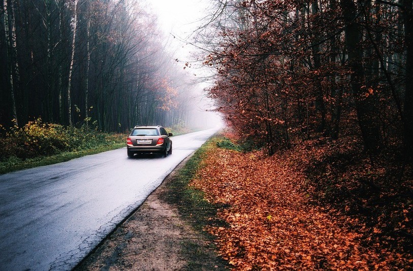 Il est important d'adapter sa conduite et sa vitesse aux conditions météorologiques en automne. (Photo: libre de droits)