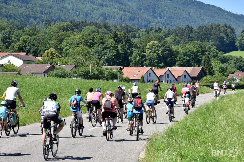 SlowUp 2015