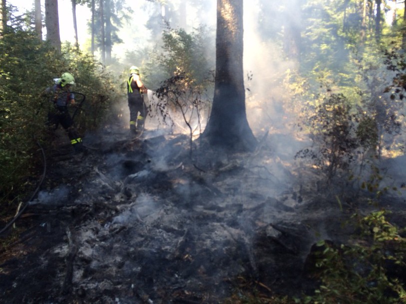 Feux de forêts entre Prêles et La Neuveville