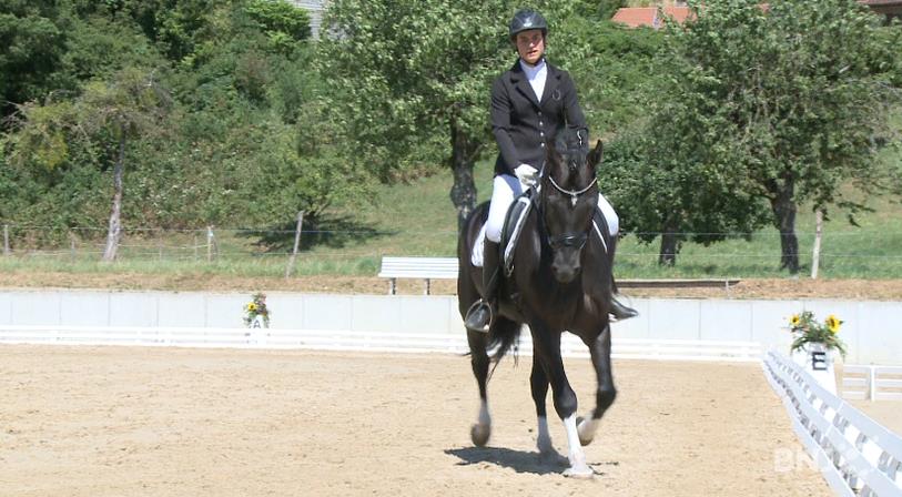 Une participante du concours de dressage réservé au cheval Franches-Montagnes