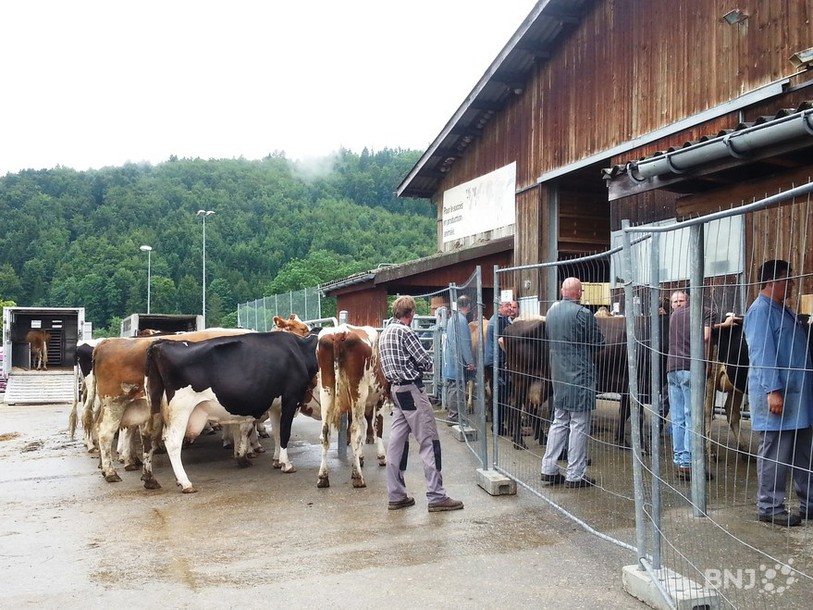 Marché de l'élimination au manège d'Orange à Tavannes