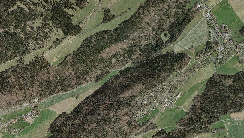 L'intervention doit avoir lieu sur les arbres situés au nord de la route (image : SITN)