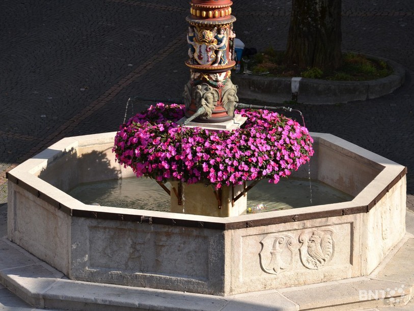 Fontaine de Delémont