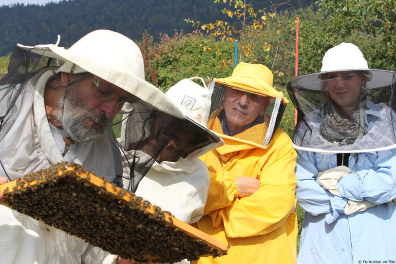 Parmi les cours proposés, il est possible de découvrir les mystères de l'apiculture à Evologia à Cernier