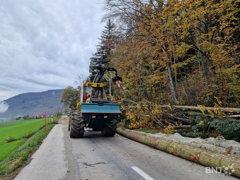 Des travaux urgents sont réalisés près entre Les Grattes et Montmollin pour évacuer les arbres secs.