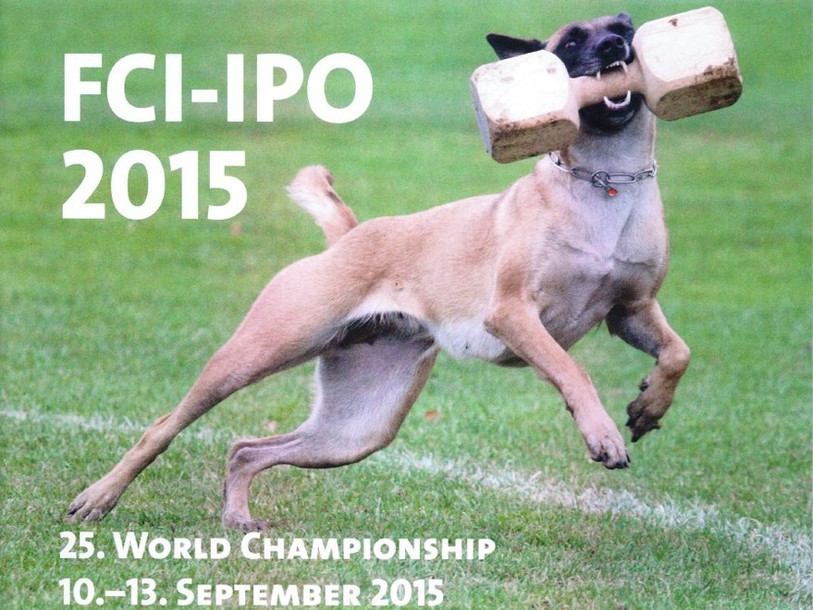 Championnats du monde de chiens de travail