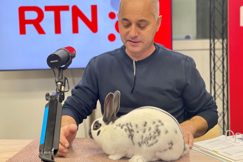 Stéphane Monnet, président du comité d’organisation de la manifestation et éleveur, est venu ce jeudi dans La Matinale avec sa lapine de compète Craquotte.