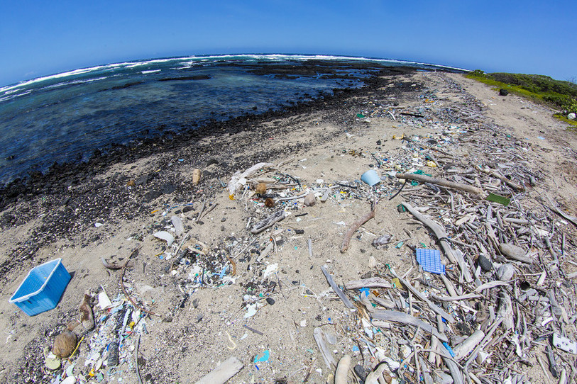 plage couverte de déchets de plastique
