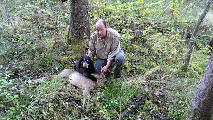 Fritz Schluep, son chien et un chevreuil