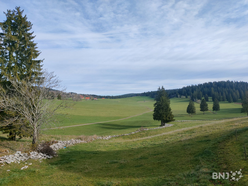 La décharge est envisagée à proximité du hameau des Etages (en fond d'image), la carrière en lisière de la forêt (sur la droite de l'image).