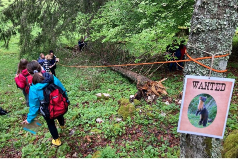 Dix-sept sorties scolaires en lien direct avec des projets du Parc ont été menées en 2022, comme durant le Soundwalk à Plateau de Diesse. (Photo : Parc Chasseral)