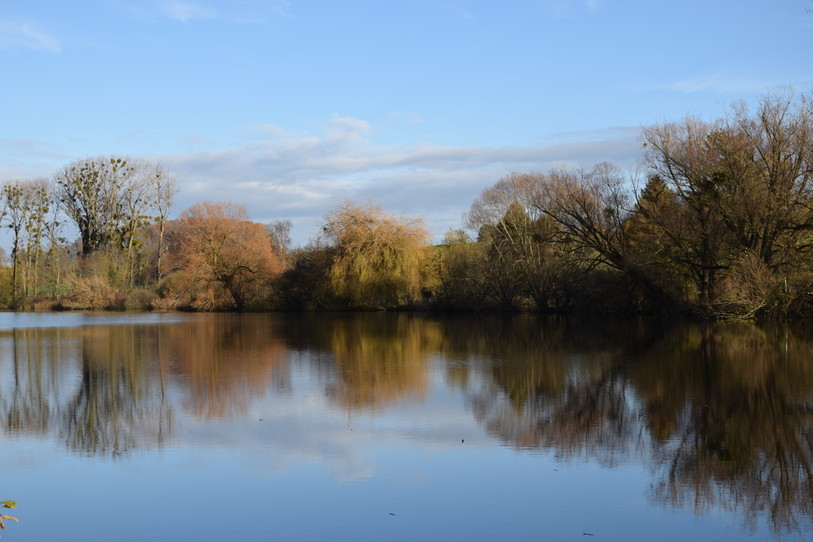L'aménagement de quatre plans d'eau est planifié à côté du Loclat.
