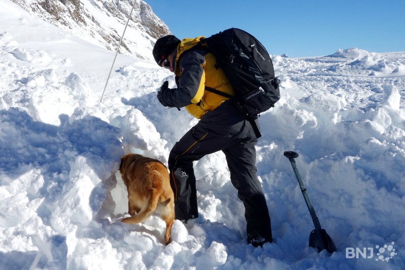 Le conducteur et son chien