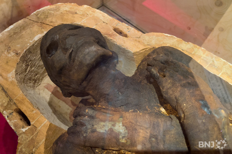 La momie Nes-Shou repose dans son sarcophage au Musée d'Yverdon et région.