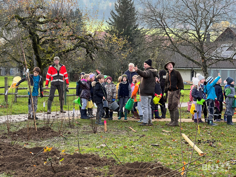 Les élèves et leurs enseignants ont retroussé leurs manches vendredi matin pour planter arbres et haies. Ils étaient aidés par des professionnels des aménagements extérieurs.