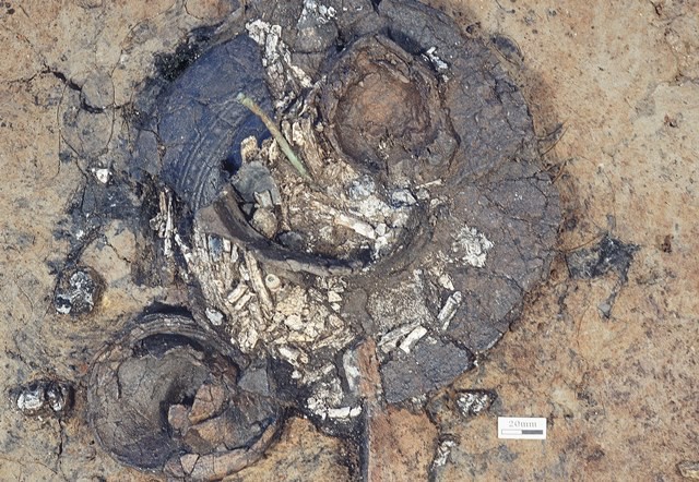 Archéologie